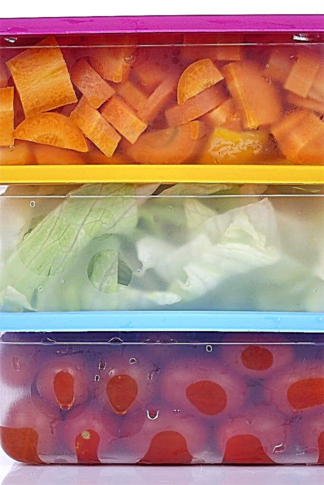 Regras para armazenar cenouras na geladeira
