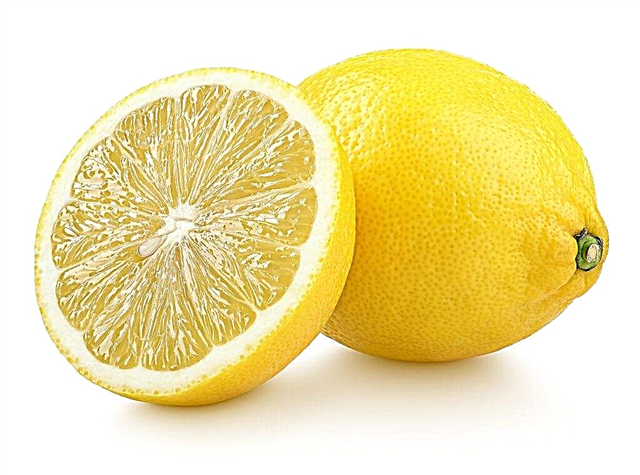 Koristi in škode limone za telo