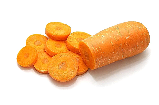 Московски зимни моркови