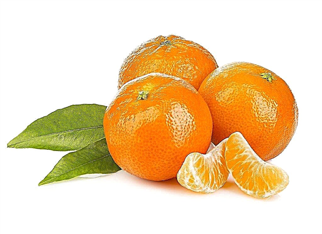 Mandarinas durante el embarazo y hepatitis B