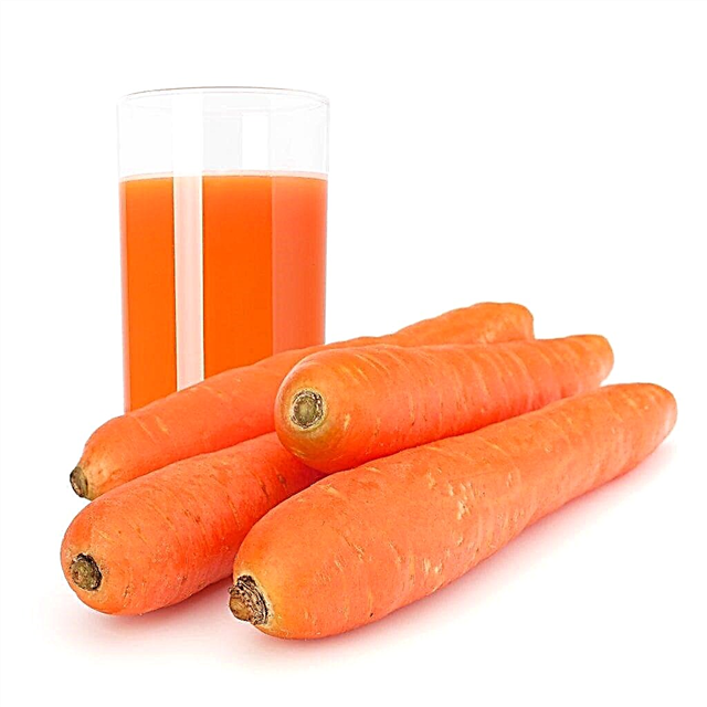Characteristics of carrots NIIOH