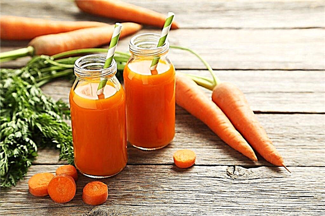 Los beneficios de las zanahorias para potencia