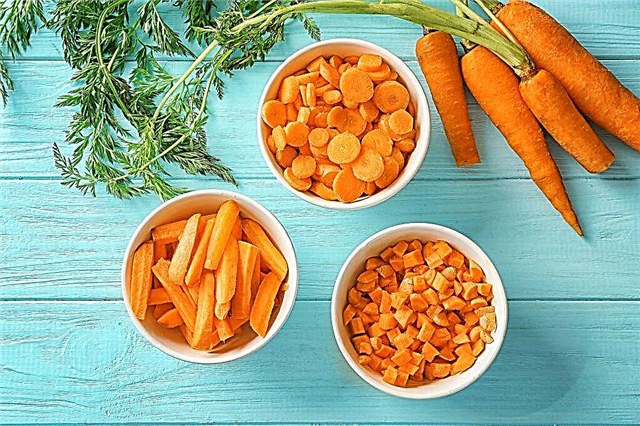Karotten essen im ersten Monat des Stillens