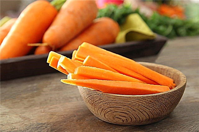 Хранене на моркови по време на бременност