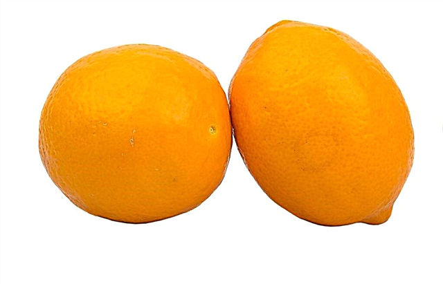 마이어의 오렌지 레몬