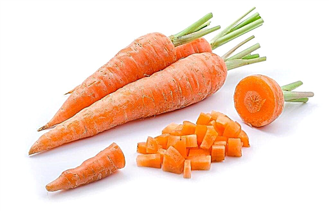 Are carrots good for vision?