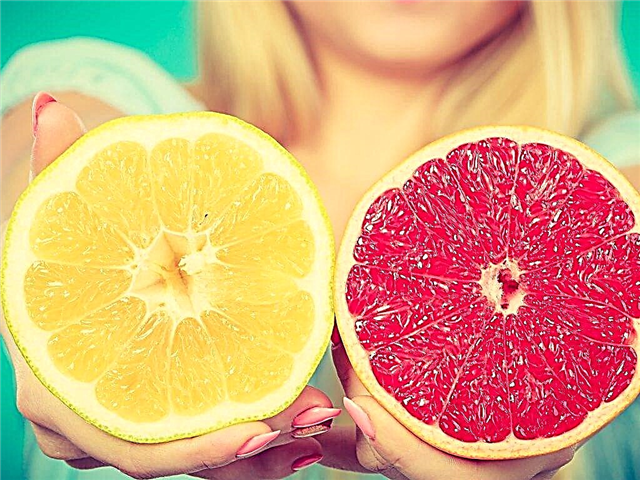 Výhody bílého a červeného grapefruitu