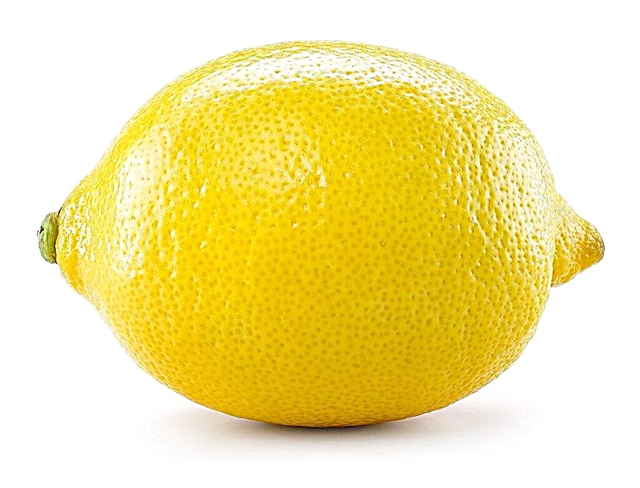 Lemon is a fruit, vegetable or berry
