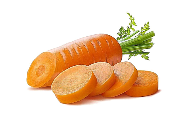 The benefits and harms of carrots for people