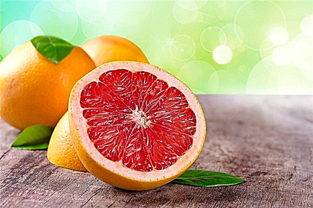 What are the benefits and harms of grapefruit