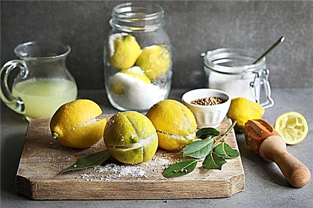 Colon cleanse with lemon and salt
