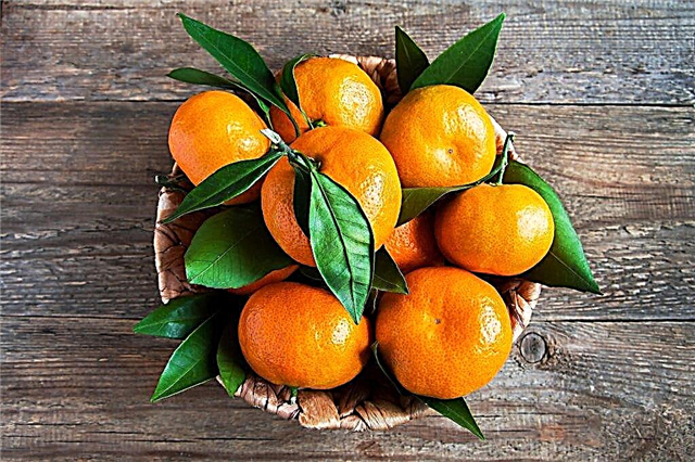 Clementines en hun gezondheidsvoordelen