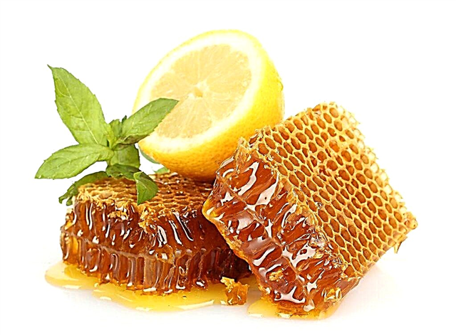 Why honey with lemon is useful