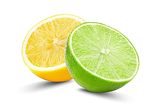 الاختلافات بين الليمون والجير