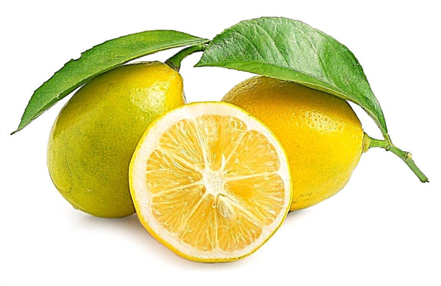 Wie man Zitrone gegen Erkältungen nimmt