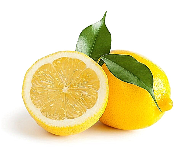 Lemon in the diet of a nursing mother and baby