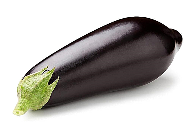 Characteristics of an eggplant variety Samurai Sword