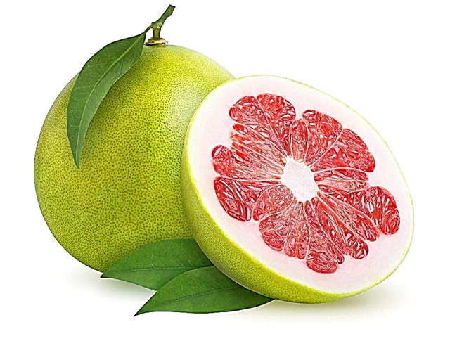 Exotické pomelo ovocie