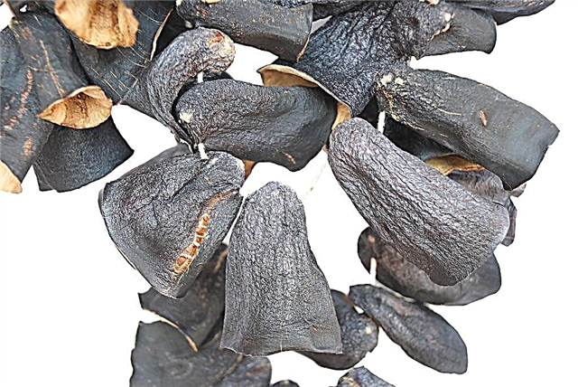 Drying eggplants in an electric dryer