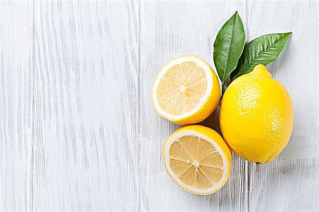 Teor de vitaminas no limão