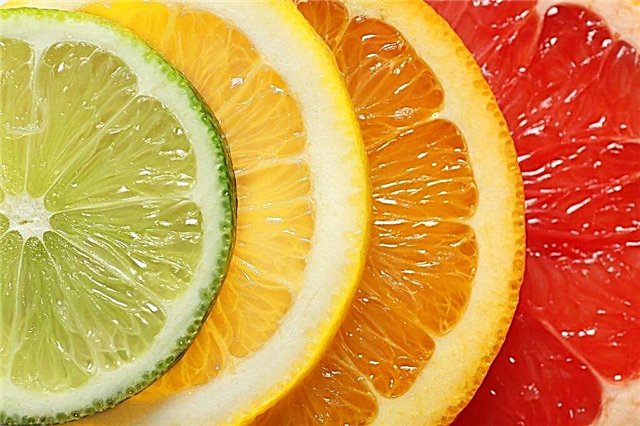The benefits and harms of citrus fruits during pregnancy