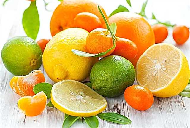 Citrus dieet