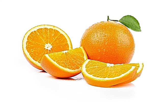 Manfaat dan bahaya jeruk selama kehamilan