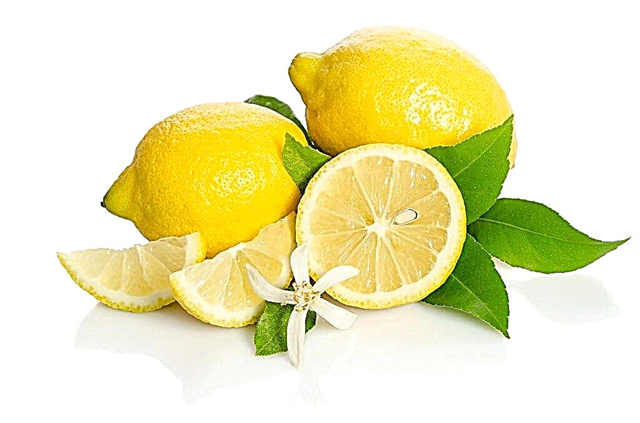 Los beneficios y daños del limón en la diabetes.