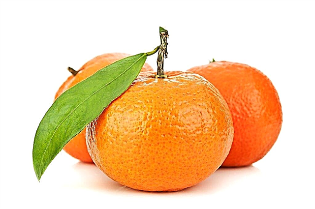 What vitamins does mandarin contain