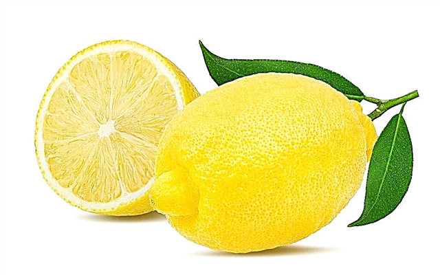 Obsah vitamínu C v citróne