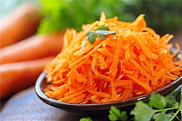 The benefits of grated carrots