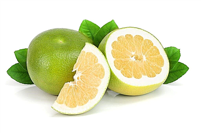 Bemærkelsesværdige citrushybrider