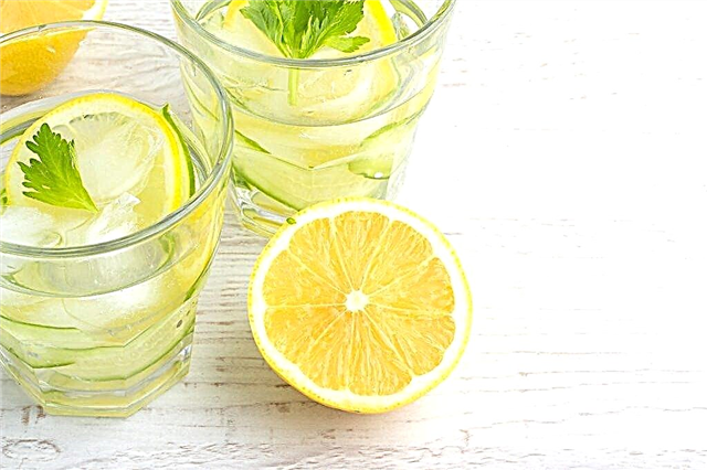 Caloriegehalte van water met citroen