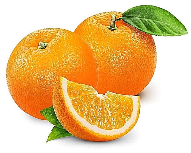 Teor de vitaminas em laranja