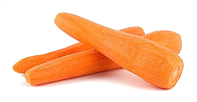 Морква при цукровому діабеті
