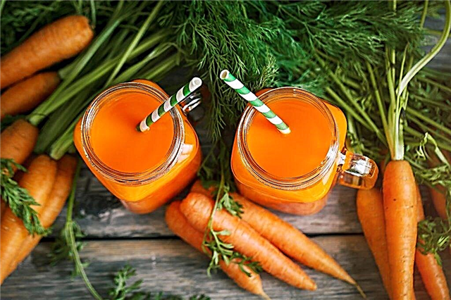 Teor de vitaminas na cenoura