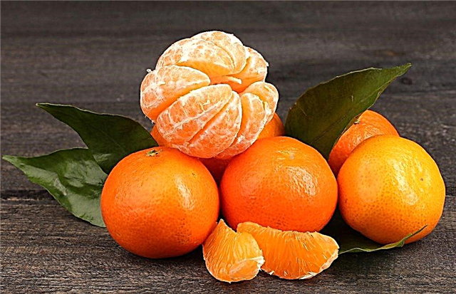 Mandarinas para la diabetes.