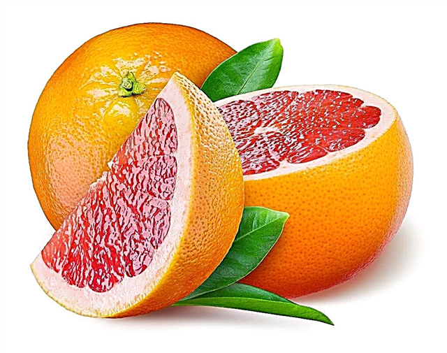 Vlastnosti grapefruitu a jeho odrůd