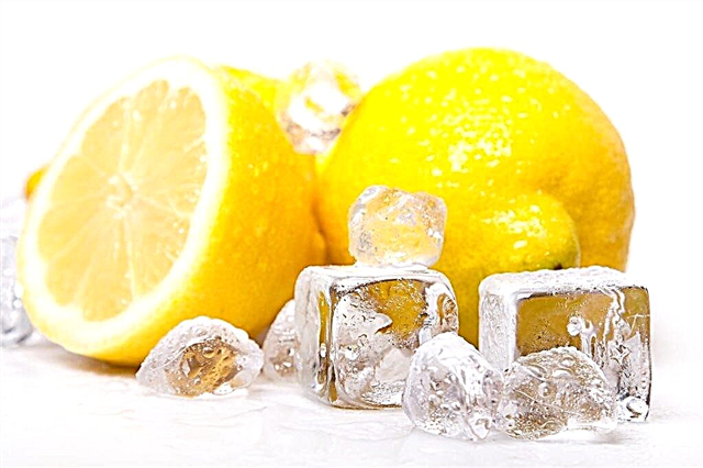 Koristi zamrznjenih limonov