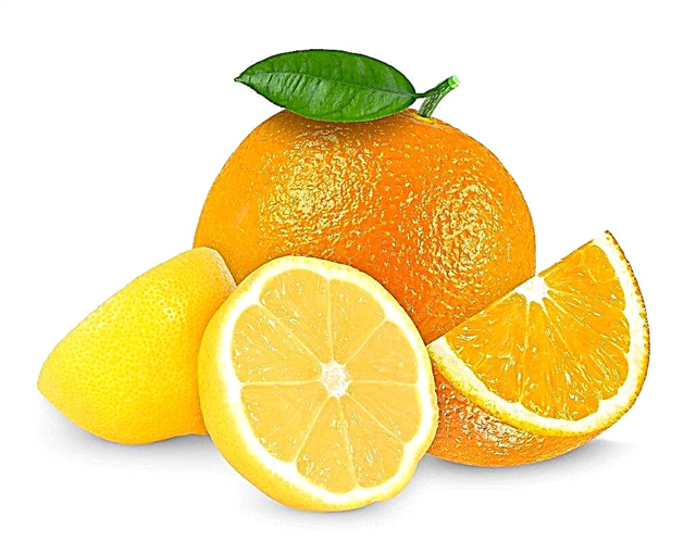 Composición vitamínica de naranjas y limones.