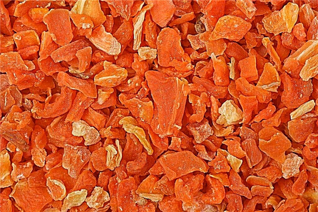 Fördelarna och skadorna av torkade morötter