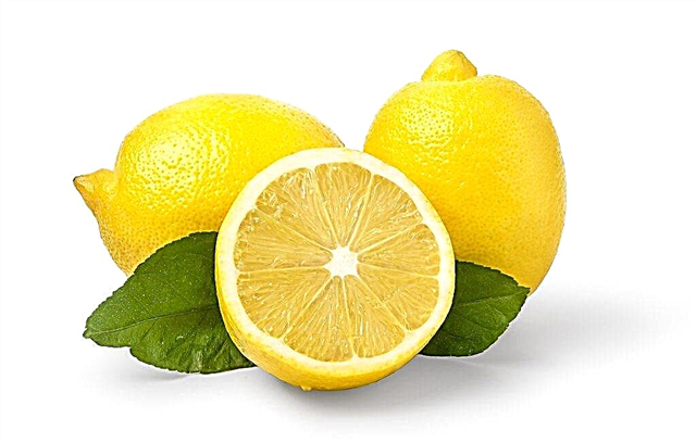 Koristi in hranilna vrednost limone