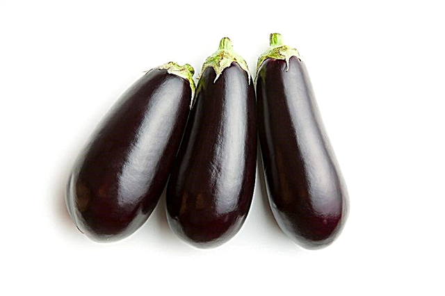 Calorie content and composition of eggplant