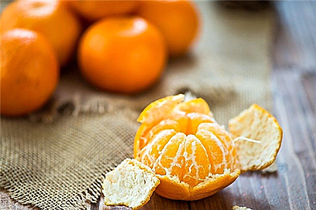 Perbezaan antara mandarin dan clementine