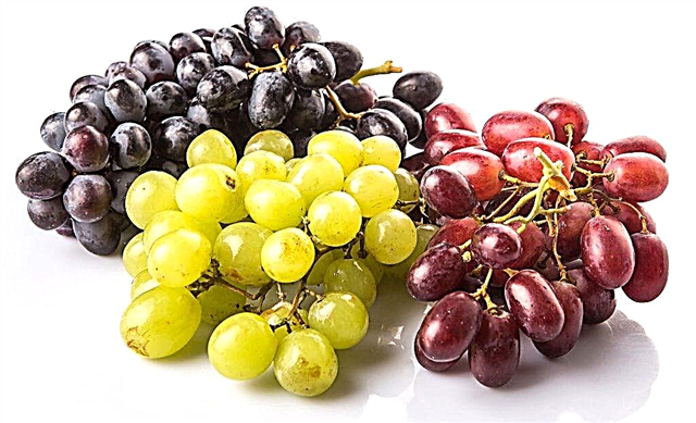 Las uvas blancas o negras son más saludables.