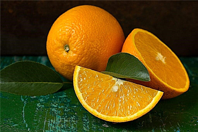 Calorie content of an orange and its BJU