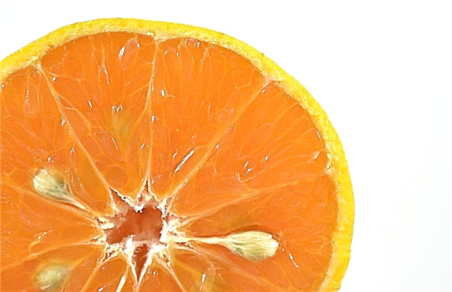 Health benefits and harms of tangerines