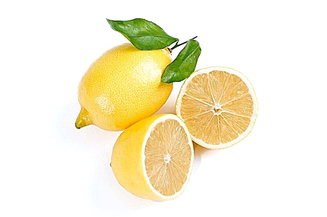 Razones para el sabor agrio del limón.
