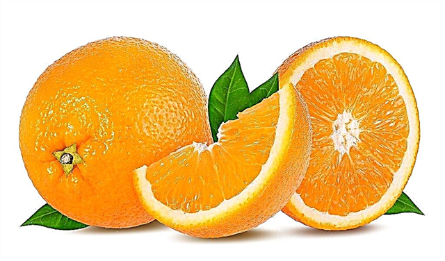 ما هو مفيد وضار للبرتقال
