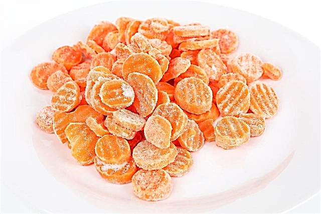Zanahorias congeladas
